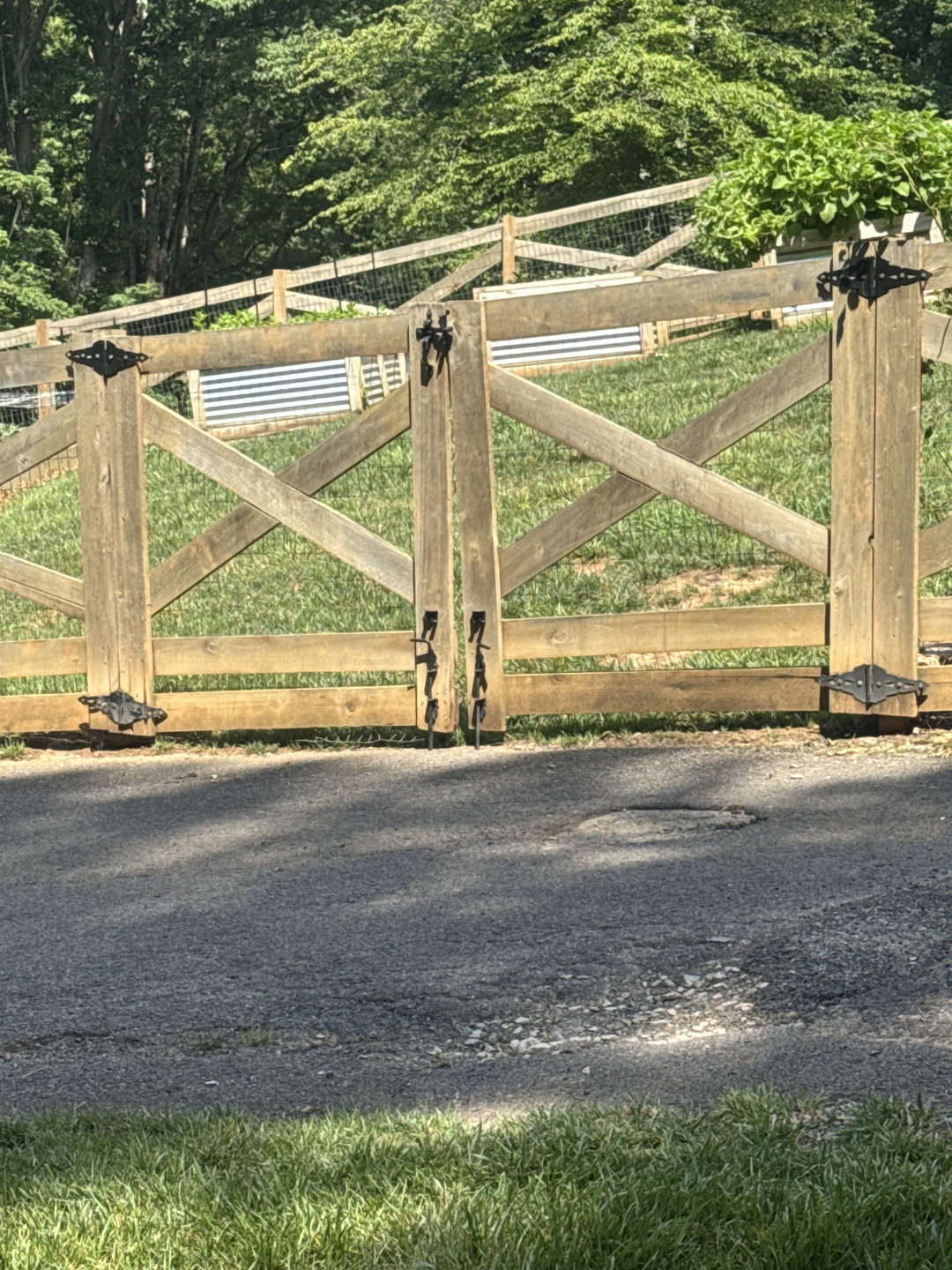 Fence Gates Gallery 5